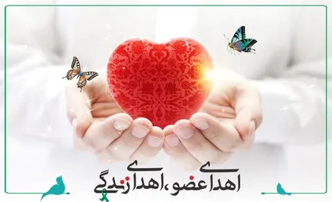 اهدای اعضای بانوی ۲۴ ساله در لردگان
