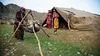 عشایر ایلام سالانه نزدیک به ۱۳ همت تولید و درآمد دارند