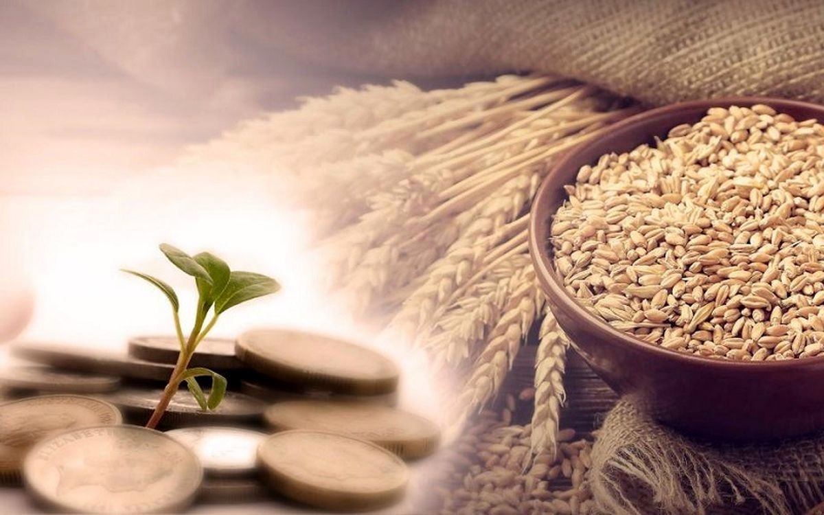 جمع آوری ۸۷ میلیارد و ۸۰۰ میلیون تومان زکات در استان قزوین