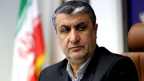 اسلامی: طرف های دیگر مذاکره کننده به تعهداتشان بازگردند ما هم به تعهدات برجامی خود بازمیگردیم