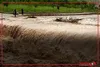 جاری شدن سیل در دره ملاطس در جنوب شرقی عربستان