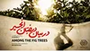 مستند «در میان درختان انجیر» از شبکه افق