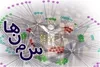 فعالان سمن ها سرمایه زندگی خویش را در راه حل مشکلات اجتماعی به کار گرفته اند