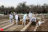 فوت ۱۱۷ بیمار کرونایی در شبانه روز گذشته/ افزایش شهرهای قرمز و نارنجی به ۴۶ و ۱۱۹ شهر