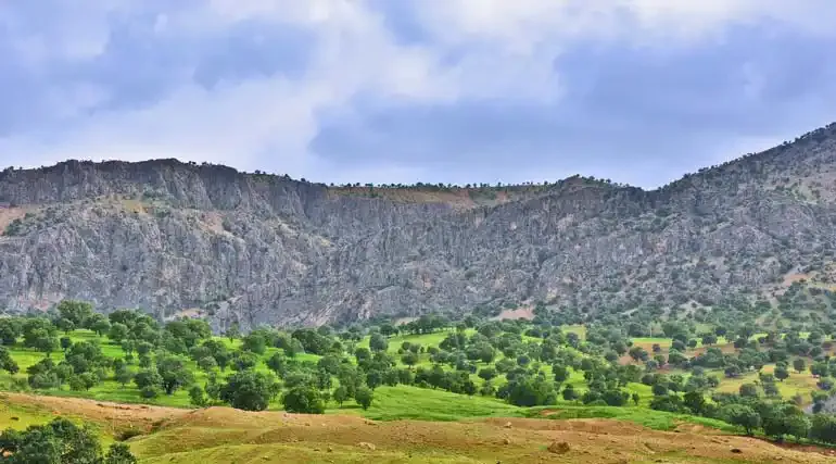 لردگان؛ سرزمین جنگل‌ها