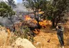 ۴۰ هکتار از مزارع و مراتع بخش کوهین در آتش سوخت/ هشدار مدیرکل مدیریت بحران قزوین نسبت به تکرار حوادث انسانی