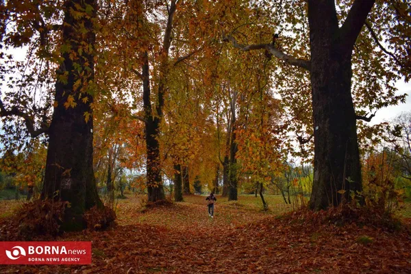 زیبایی&zwnj;های پاییز در کشمیر