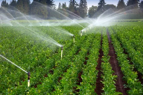 اتمام طرح های آبیاری نوین در آذربایجان‌غربی نیازمند ۲.۶ همت اعتبار است