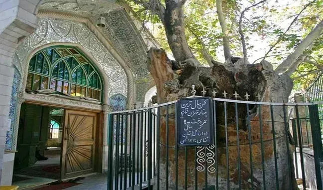 امامزاده یحیی