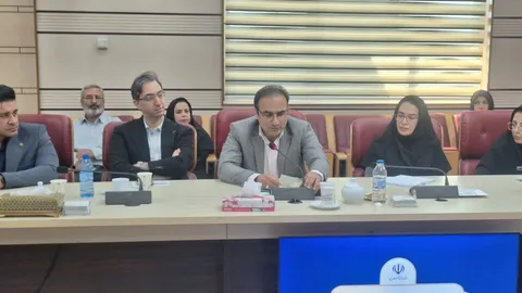 ورزش و تحرک بدنی سالمندان بهترین راهکار پیشگیری از بیمارهای این دوران است/ توسعه باشگاه پارک 