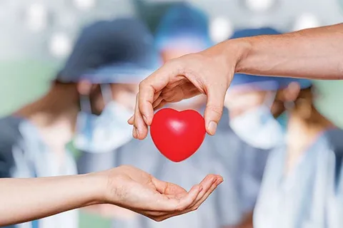 پانزدهمین اهدای عضو سال جاری در یزد با نجات جان چند بیمار