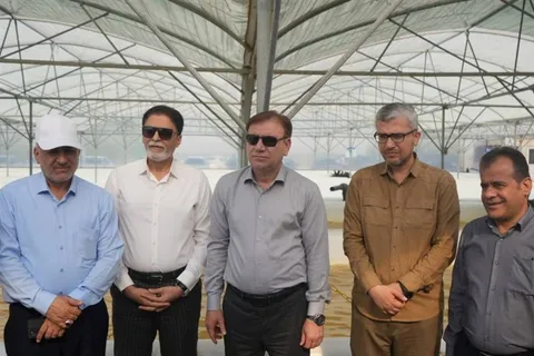 مزرعه تولید اسپیرولینا با سرمایه‌گذاری ۳۱۰ میلیارد ریالی افتتاح شد