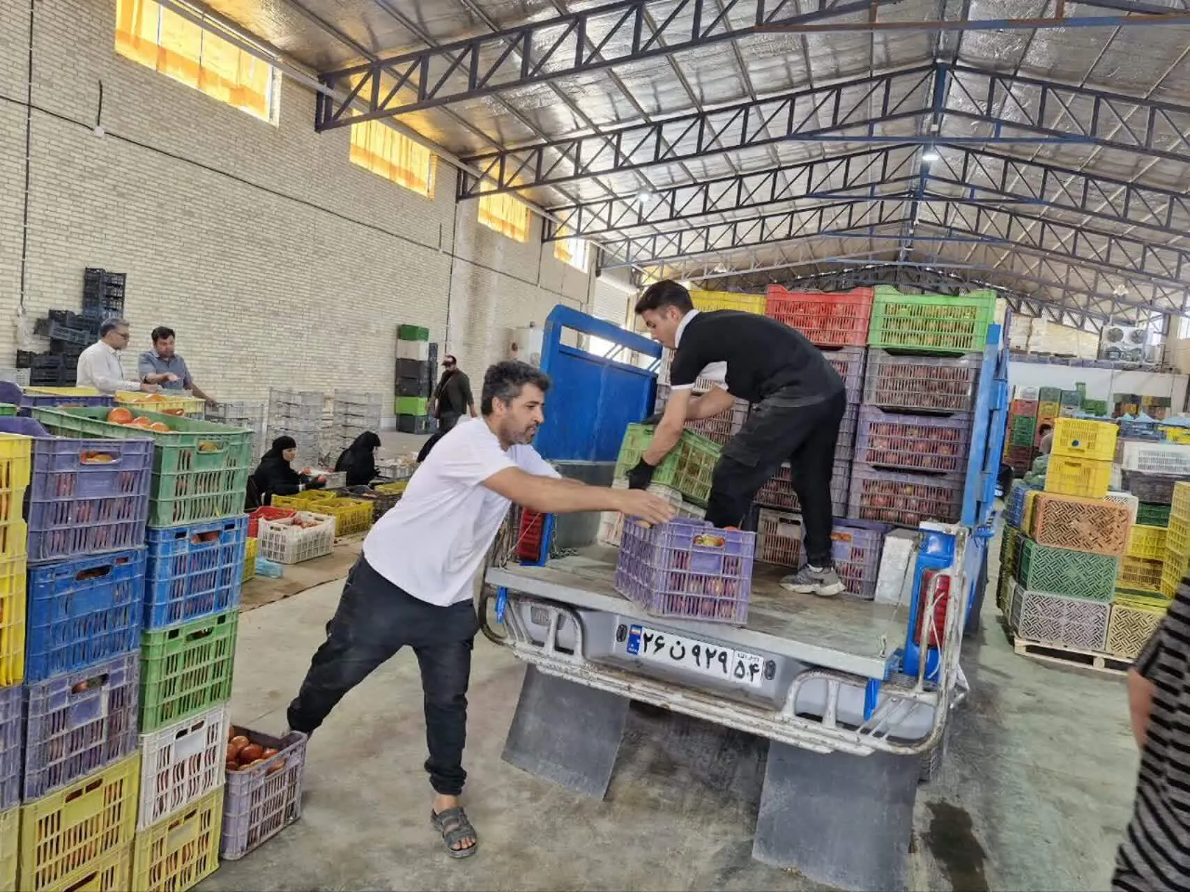 ارتقای استاندارد‌های فنی و کیفیت محصولات گلخانه‌ای در دستور کار جهاد کشاورزی استان یزد