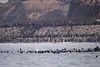 اسپانیا گذرگاه مرزی خود با مراکش را در پی بحران مهاجران بست
