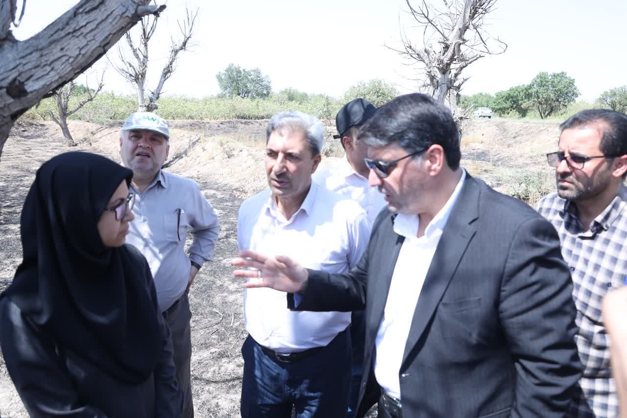ساخت‌وسازهای غیرمجاز باغستان قزوین شناسایی و تعیین تکلیف می‌شوند