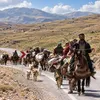 کوچ پاییزه باید بر اساس ظرفیت مراتع و تقویم چرا انجام شود