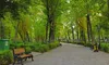 اجرای ۴۲ تور گردشگری و تفریحی با هدف نشاط اجتماعی در منطقه ۷
