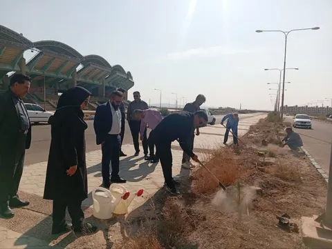 کاشت نهال در استادیوم ولایت سمنان به مناسبت هفته تربیت بدنی