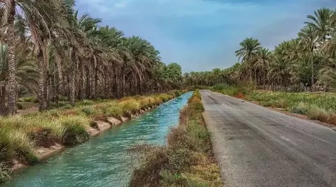آبیاری ۸۰۰ هکتار از  اراضی کشاورزی در شبانکاره