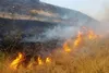 آتش سوزی دو منطقه حفاظت شده در استان اصفهان/ علت حادثه در دست بررسی است