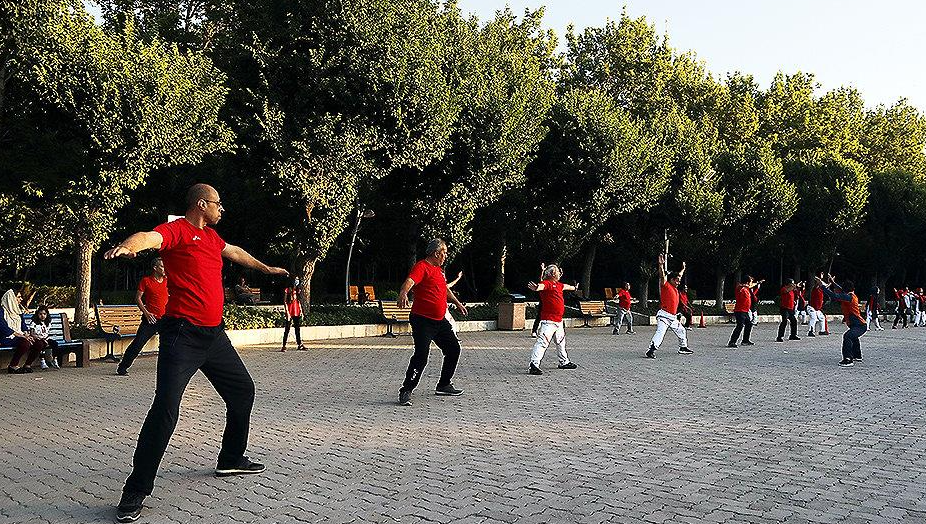 قزوین پایلوت اجرای طرح « باشگاه پارک» در کشور/ بوستان شقایق کاندید شد قزوین پایلوت اجرای طرح « باشگاه پارک» در کشور/ بوستان شقایق کاندید شد