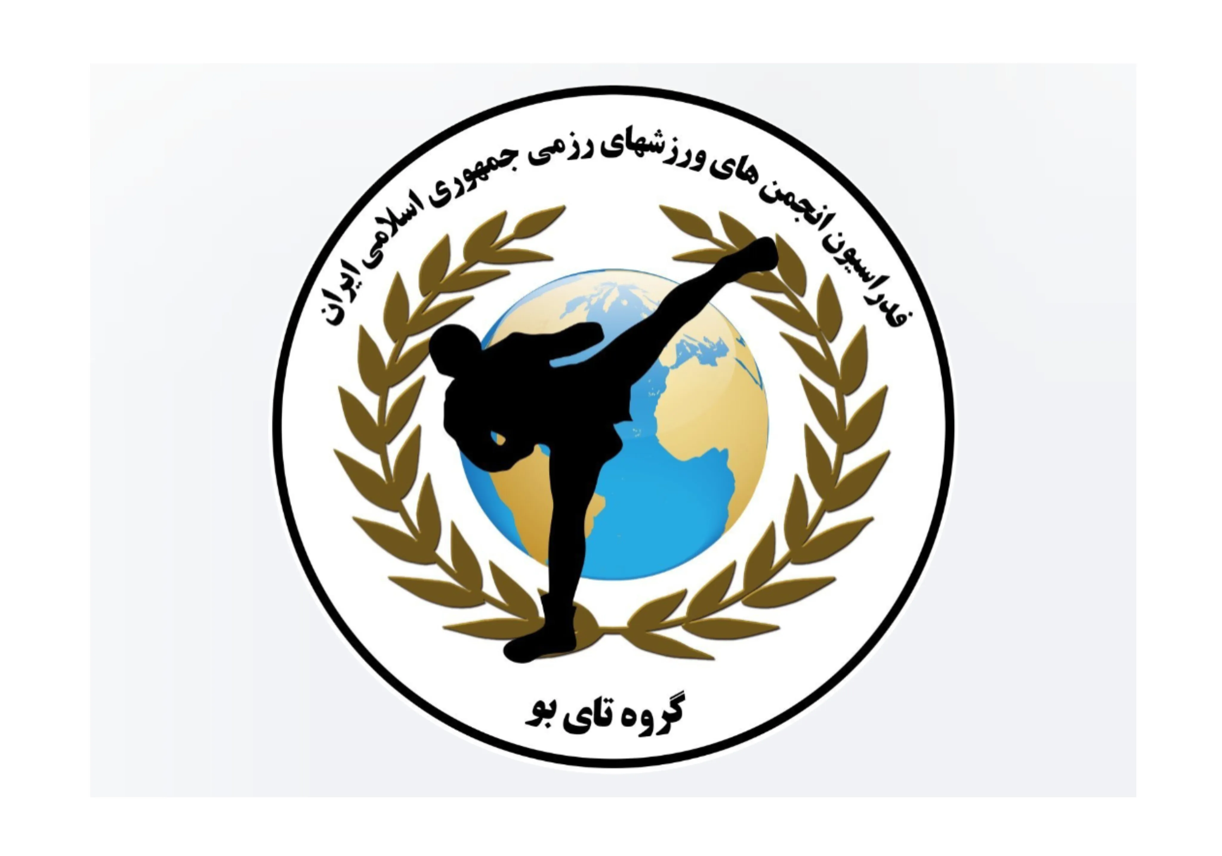 انتصاب دبیر کمیته رسانه‌ای سبک ورزشی تای بو در کشور