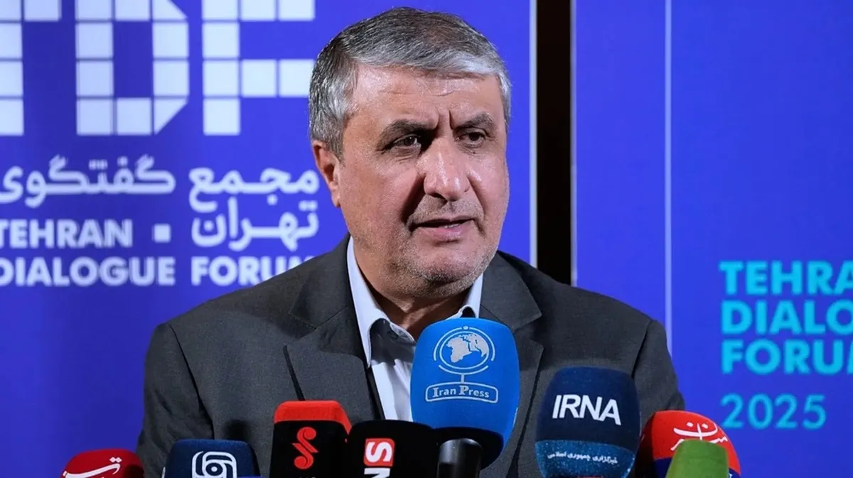 Iran’s nuclear chief: US, Israel entered ‘dangerous’ new phase after assault on nuclear sites