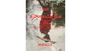 «مثل یک معجزه» آماده نمایش شد/ کسب اولین جایزه بهترین فیلم از جشنواره ایتالیایی