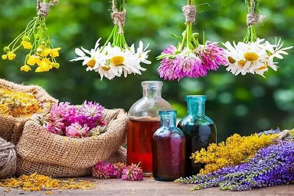رئیس اتاق ایران: توسعه ارزش افزوده محصولات ارگانیک یک ظرفیت بزرگ برای کشور است