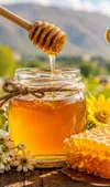 تولید سالانه ۸۰ تن عسل در مهریز؛ رتبه دوم استان یزد