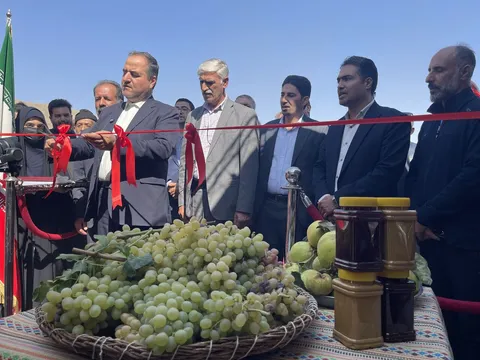 آغاز به کار سیزدهمین جشنواره انگور هزاوه شهرستان اراک