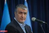 رئیس سازمان انرژی اتمی ارتحال آیت‌الله العظمی شبیری زنجانی را تسلیت گفت