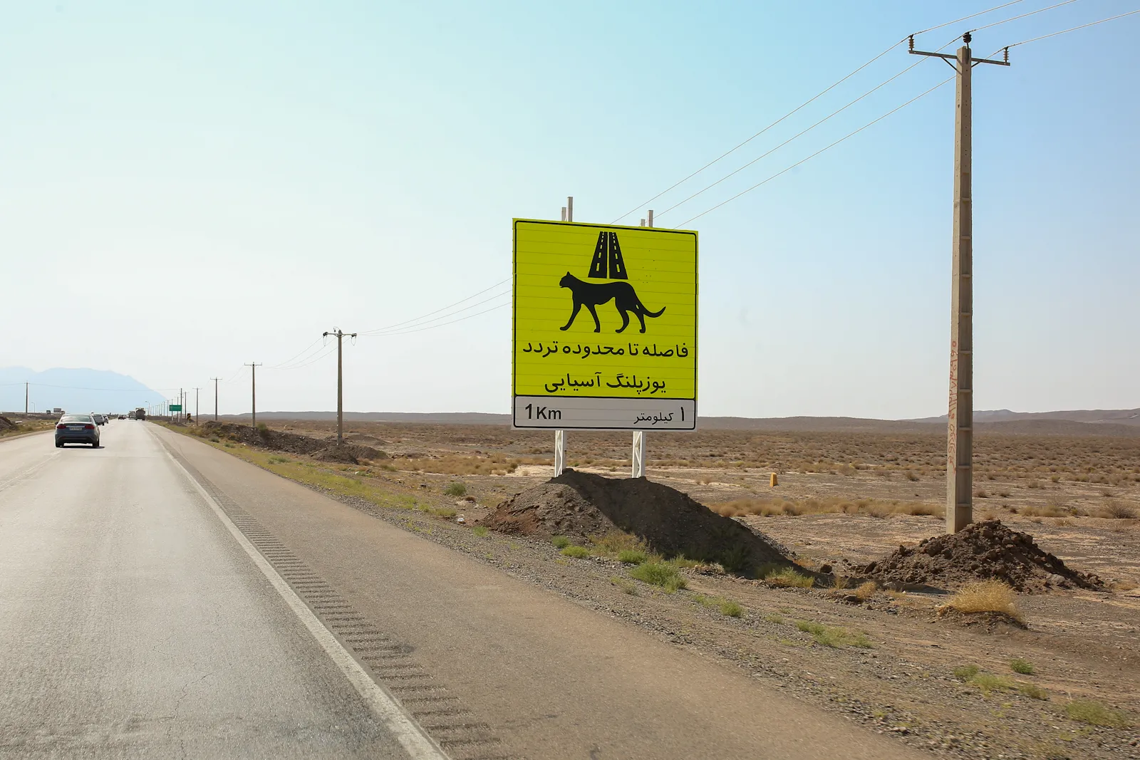 این دشت هنوز خانه یوز است