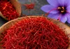 زعفران خراسان شمالی راهی بورس کالا می‌شود / انبارهای بورس شیروان و فاروج در آستانه بهره‌برداری
