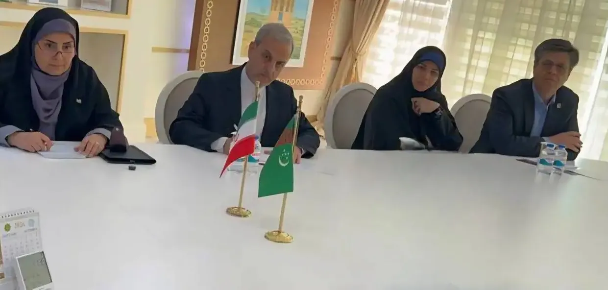 واردات و ترانزیت برق؛ محور مذاکرات ایران و ترکمنستان
