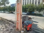عملیات گسترده طعمه‌گذاری جانوران مضر در شهرقدس
