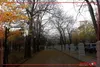 باران رشت _ سبزمیدان