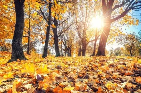 پیش‌بینی هواشناسی کردستان؛ رگبار باران و وزش باد شدید در راه است