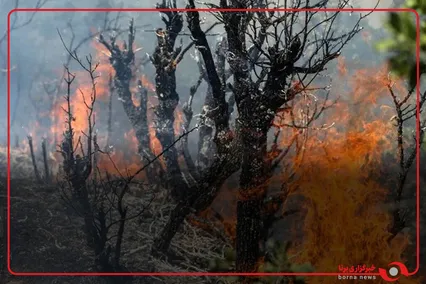 آتش‌سوزی در جنگل‌های بهشهر