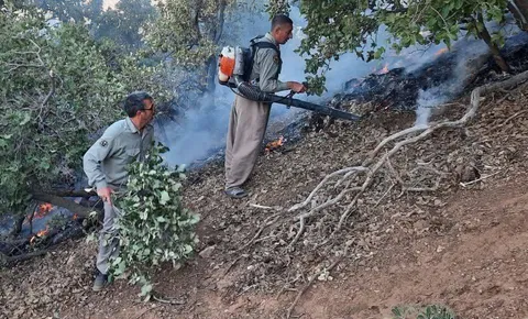 یک جرقه، تهدیدی برای زاگرس است/ محیط‌بانان کرمانشاه در خط مقدم حفاظت از زاگرس